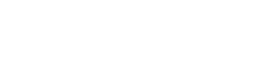 América Latina Logística (ALL)